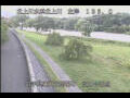 Webcam Babacho