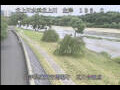 Webcam Babacho