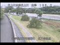 Webcam Babacho