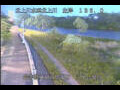 Webcam Babacho