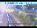 Webcam Babacho