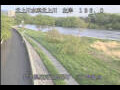 Webcam Babacho