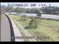 Webcam Babacho