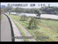 Webcam Babacho