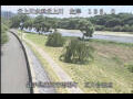 Webcam Babacho
