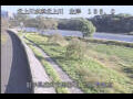 Webcam Babacho