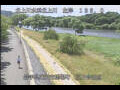 Webcam Babacho