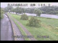 Webcam Babacho