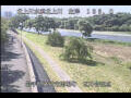 Webcam Babacho