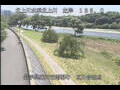 Webcam Babacho