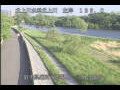 Webcam Babacho