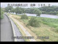 Webcam Babacho