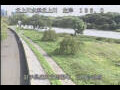 Webcam Babacho
