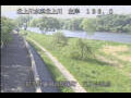 Webcam Babacho