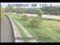 Webcam Babacho