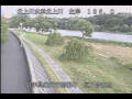 Webcam Babacho