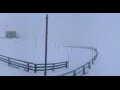 Webcam Edelweißspitze