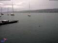 Webcam Thalwil