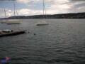 Webcam Thalwil