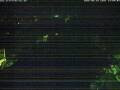 Webcam Bad Waldsee