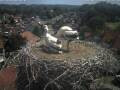 Webcam Bad Waldsee