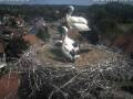 Webcam Bad Waldsee