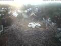 Webcam Bad Waldsee