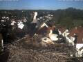 Webcam Bad Waldsee