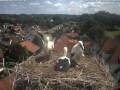 Webcam Bad Waldsee