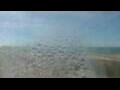 Webcam Cap d'Agde
