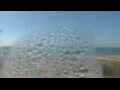 Webcam Cap d'Agde