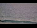 Webcam Lacanau-Océan