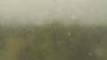 Webcam Milwaukee, Wisconsin