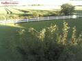 Webcam Fehmarn: Ferienhaus Haltermann
