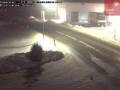 Webcam Niederau