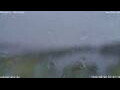 Webcam Antwerp