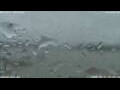 Webcam Antwerp