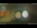 Webcam Anversa
