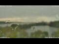 Webcam Anversa