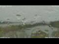 Webcam Antwerp
