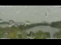 Webcam Antwerpen