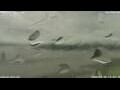 Webcam Antwerp