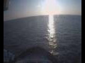 Webcam Mein Schiff 1
