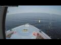 Webcam Norwegian Breakaway