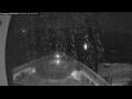 Webcam Norwegian Breakaway