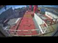 Webcam Irena Arctica
