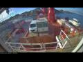 Webcam Irena Arctica