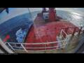 Webcam Irena Arctica