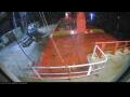 Webcam Irena Arctica