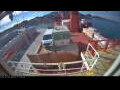 Webcam Irena Arctica